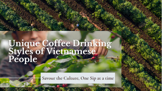 Unique Coffee Drinking Styles of Vietnamese People