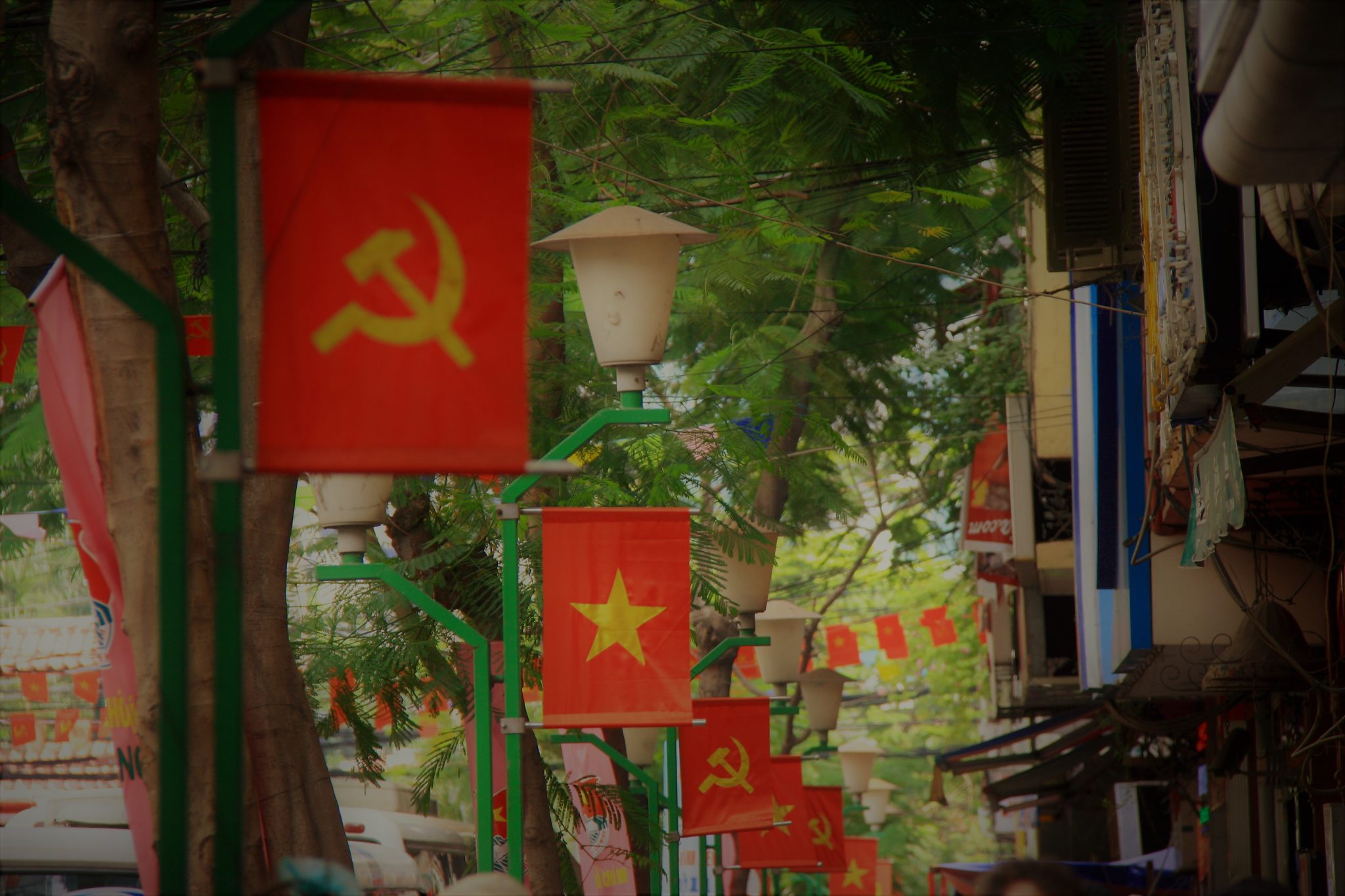 Vietnamese Flags